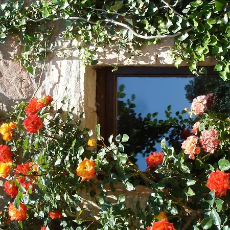 Cal Panxeta Holiday home Balsareny